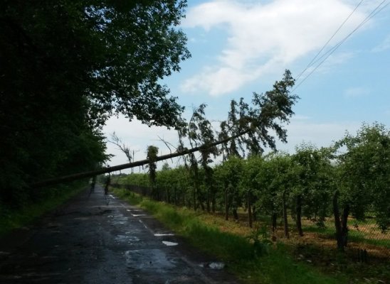 Skutki nawałnicy w gminie Błędów