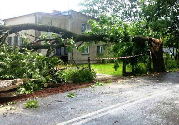 Skutki nawałnicy w gminie Błędów