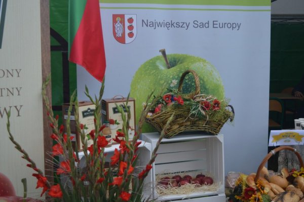 Dożynki Powiatu Grójeckiego - Lewiczyn 2017