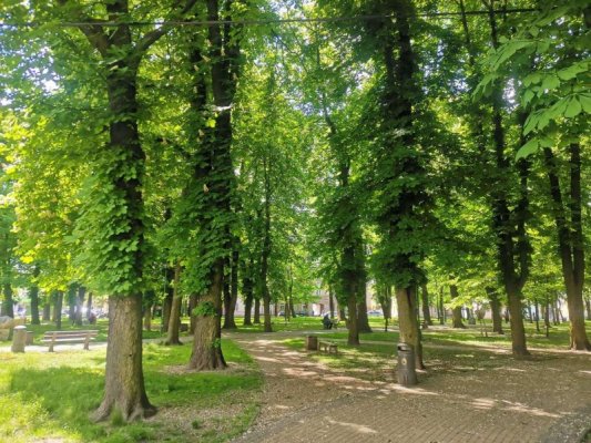 Gmina Grójec pozyskała dotację na rewitalizację parku miejskiego