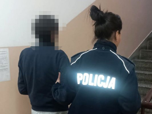 6 zarzutów karnych i trzymiesięczny areszt dla Gruzina