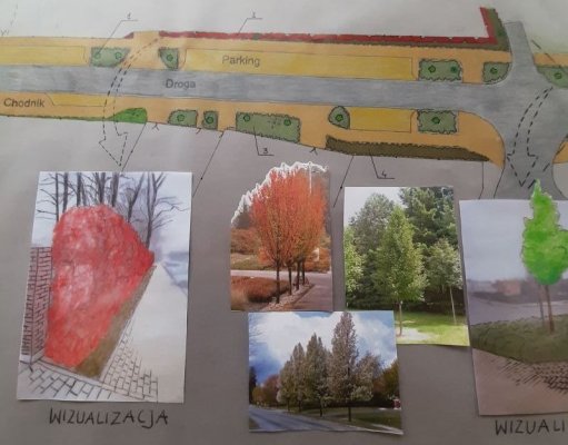 Oto pomysły na projekt zieleni ul. Poświętne w Grójcu