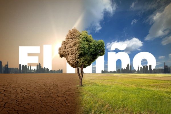 El Niño 2026: co dzieje się z klimatem i dokąd uciec przed upałem tego lata