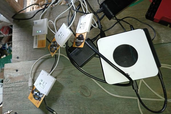 Pirat z powiatu grójeckiego złapany na sharingu. Straty na ponad 1,5 mln zł