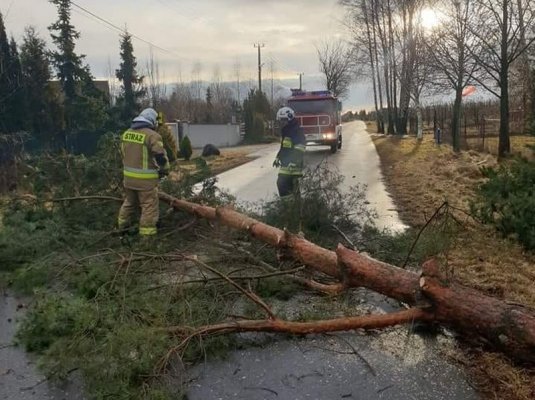 Wichury uderzyły w powiat grójecki. Strażacy w akcji (ZDJĘCIA)