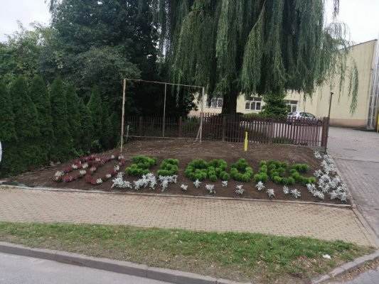 80 krzewów na 80-lecie ZSP w Grójcu