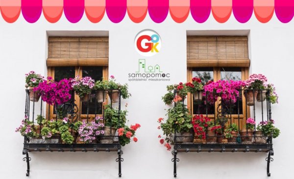 Konkurs na najładniejszy balkon w Grójcu 2021