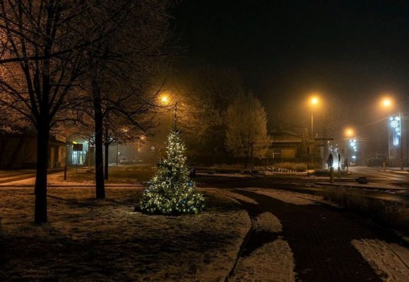 Nowe świąteczne drzewko. Zostanie w Grójcu przez kolejne lata