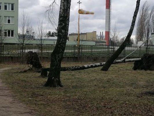 Potężna wichura uderzyła w grójecki park. Nadciąga kolejny orkan
