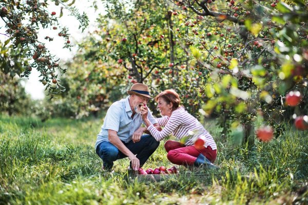 Jaka jest sytuacja seniorów w powiecie grójeckim [RAPORT]