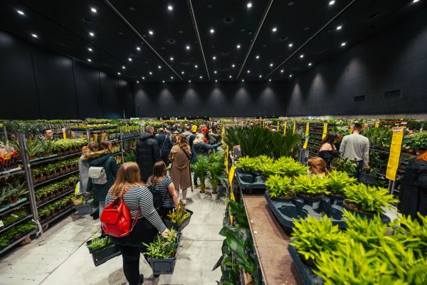 Nadchodzi kolejna edycja Festiwalu Roślin w Grójcu! 