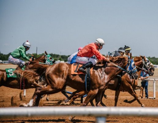 Wszystko, co powinieneś wiedzieć o zakładach
