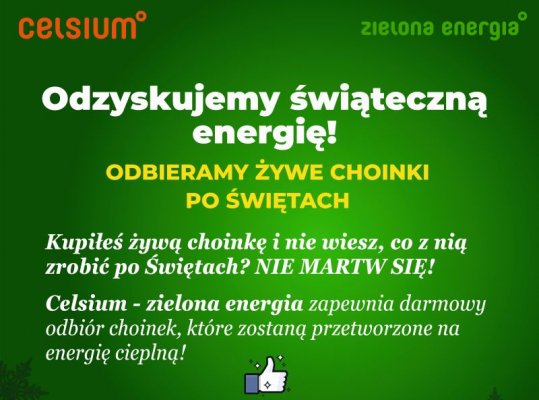 Zrób Ziemi prezent i bądź eko na święta!