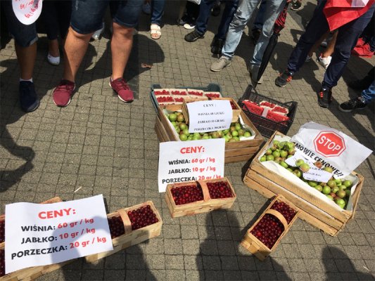 Niskie ceny skupu owoców: w niedzielę spotkanie sadowników