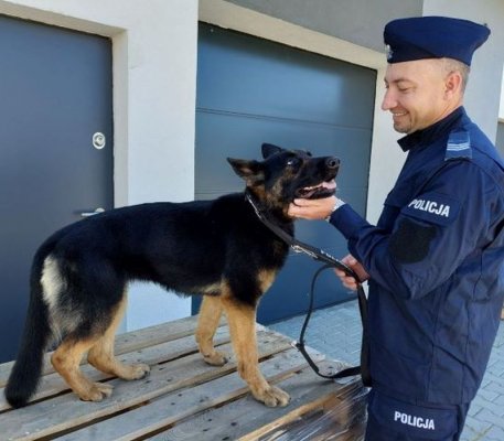 Czworonożna policjantka POGODA patroluje ulice Grójca