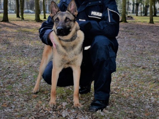 Szron zasili szeregi policji. Rozpoczął szkolenie w Sułkowicach