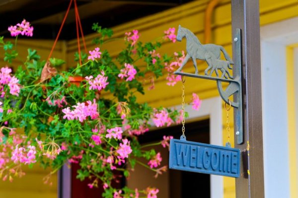 Wyróżnij się na tle konkurencji. Zainwestuj w reklamę outdoorową!