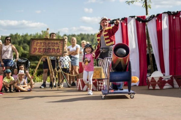 Magiczne Ogrody atrakcji i piwonii