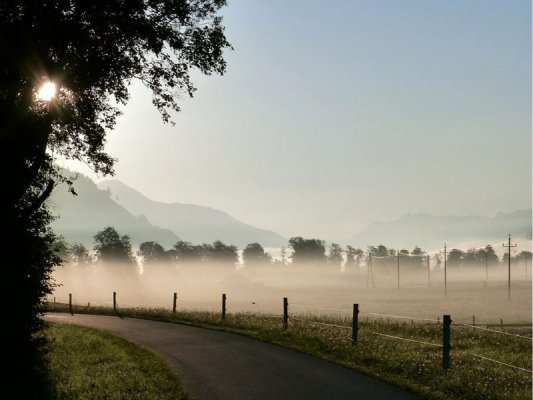 Budowa pastucha elektrycznego - krótki poradnik