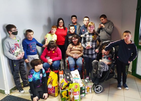 Uczniowie ZSS w Grójcu wspierają schronisko dla zwierząt