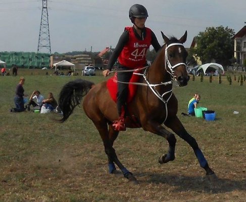 Zawodniczka Stajni Rajdowej Wilków wicemistrzynią Polski 
