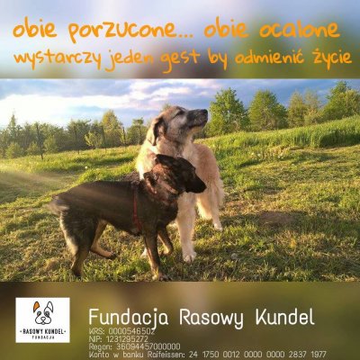 Pomagamy tam, gdzie inni odwracają wzrok