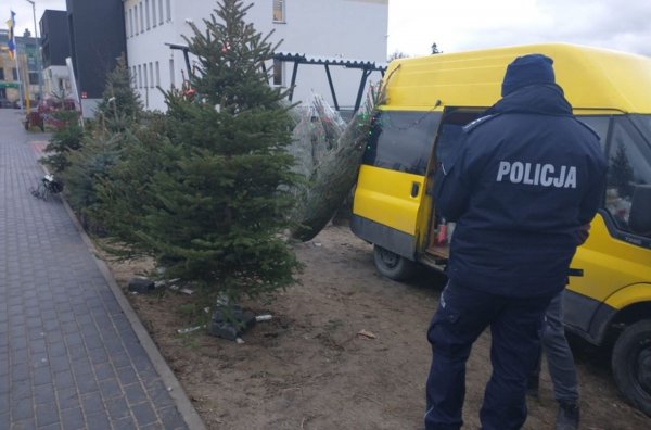 Grójeccy dzielnicowi kontrolowali punkty sprzedaży choinek