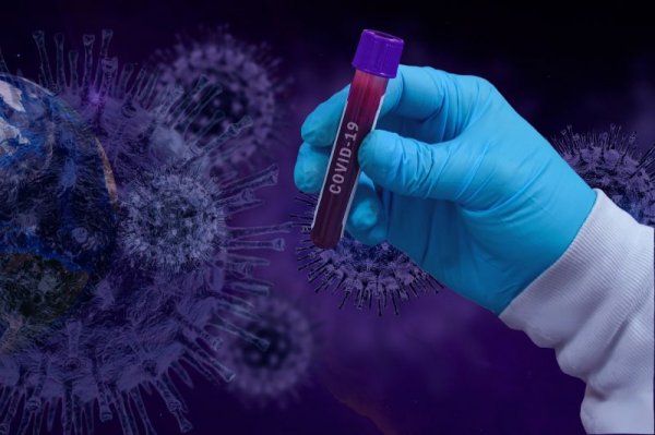 Koronawirus w powiecie grójeckim: MZ informuje o 23 zakażeniach
