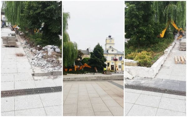 Plac Wolności ma się zazielenić