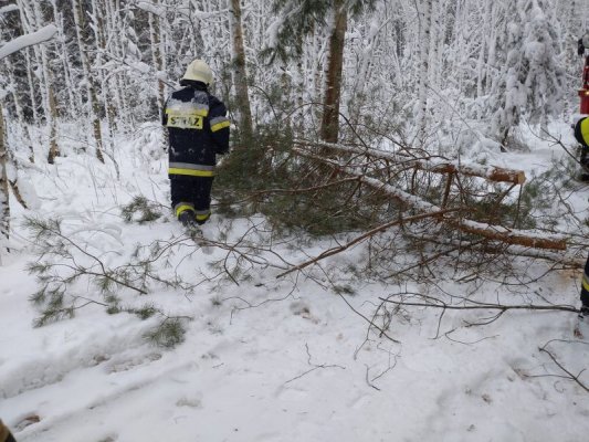 Pogodowy armagedon na Prima Aprilis: wypadki, powalone drzewa