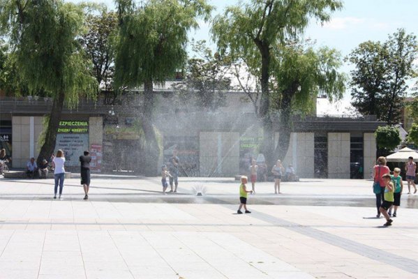 Młoda Lewica: potrzeba więcej drzew na rynku w Grójcu