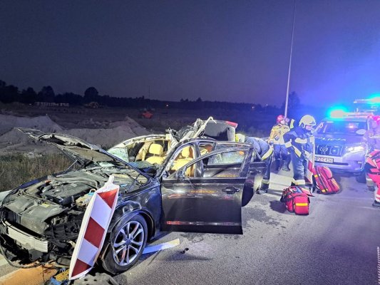 Na S7 Warszawa - Grójec audi wjechało w łosia. 3 osoby w szpitalu