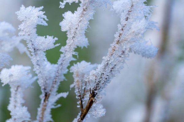Nawet 17 stopni na minusie. Jest ostrzeżenie IMGW dla powiatu grójeckiego  