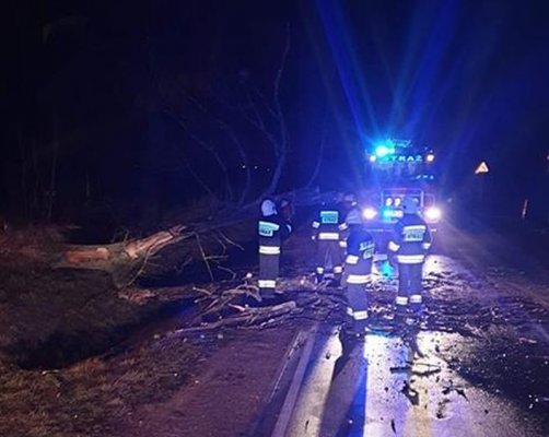Powalone drzewa, wypadki - pracowita noc strażaków z Grójecczyzny
