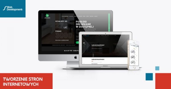 Dlaczego warto współpracować z Web Development