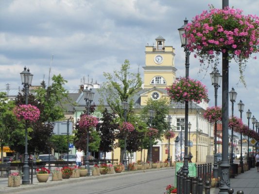 Startuje remont Armii Krajowej