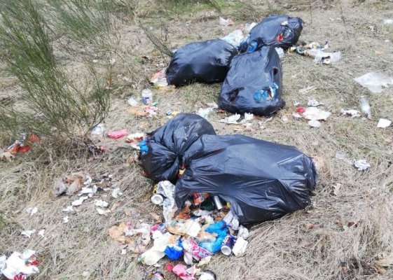 Kolejne dzikie wysypisko zlikwidowane