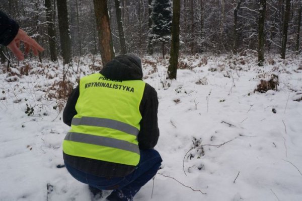 Spacerując po lesie odkrył zwłoki kobiety