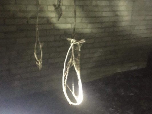 Zwłoki psów, pętle do wieszania, krew na ścianach