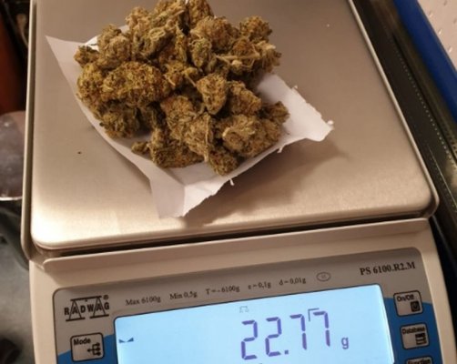 25-latek z Grójca miał 2 kg marihuany. Trafił do aresztu