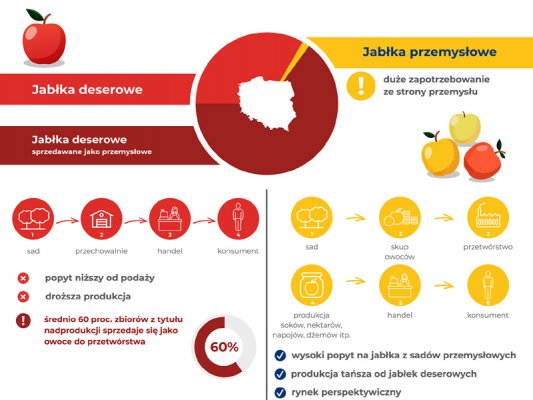 Przetwórcy: Czy przerobimy wszystkie jabłka?