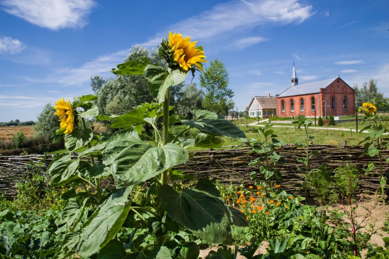 fot. Grzegorz Piaskowski