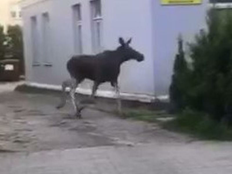 Fot. KPP w Grójcu
