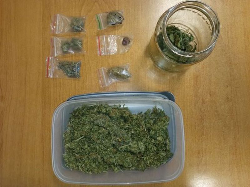 Zabezpieczona marihuana (fot. KPP w Grójcu)