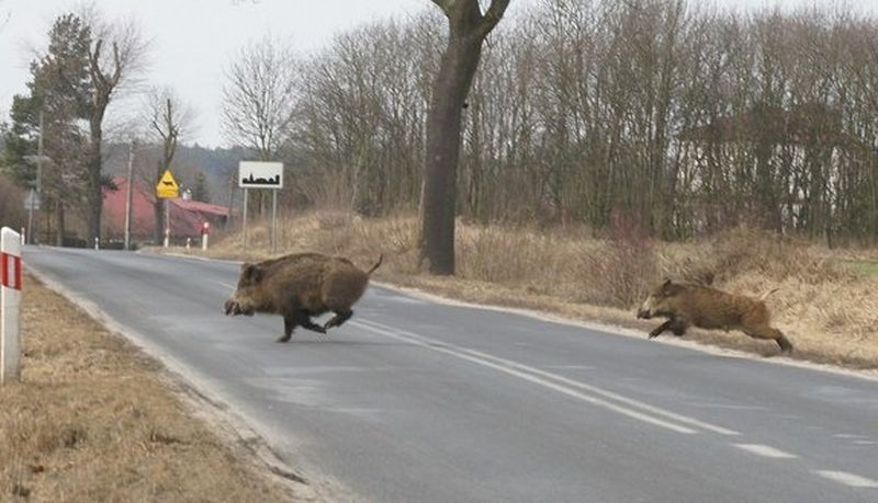 Fot. KPP w Grójcu