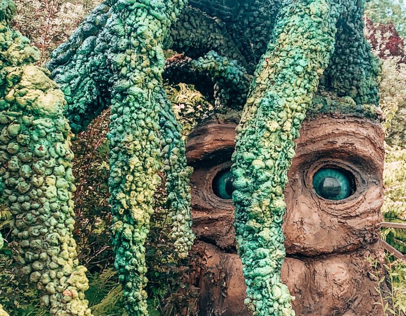 Fot. materiały prasowe