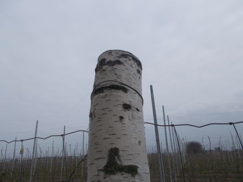 Zdjęcie nadesłane przez Czytelniczkę