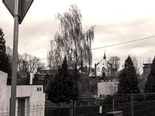 Grójec Noir