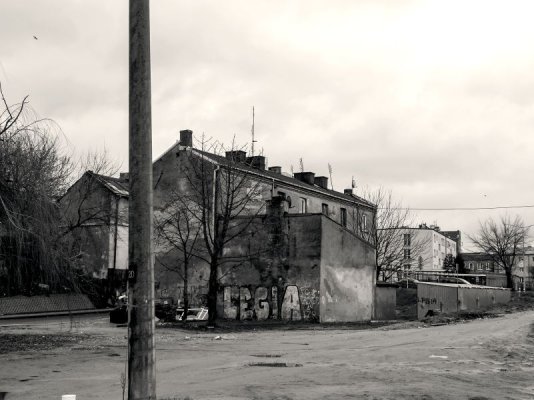 Grójec Noir