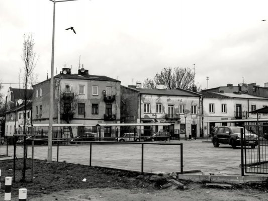 Grójec Noir